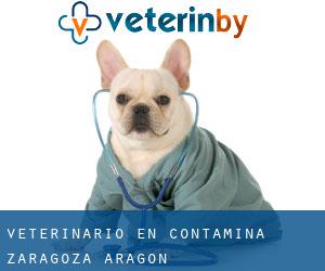 veterinario en Contamina (Zaragoza, Aragón)