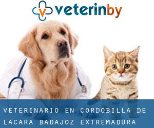 veterinario en Cordobilla de Lácara (Badajoz, Extremadura)