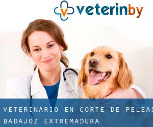 veterinario en Corte de Peleas (Badajoz, Extremadura)