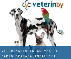 veterinario en Cuevas del Campo (Granada, Andalucía)