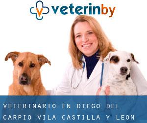 veterinario en Diego del Carpio (Ávila, Castilla y León)