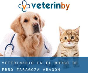 veterinario en El Burgo de Ebro (Zaragoza, Aragón)