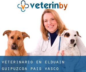 veterinario en Elduain (Guipúzcoa, País Vasco)