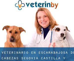 veterinario en Escarabajosa de Cabezas (Segovia, Castilla y León)