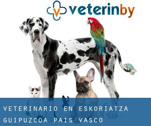 veterinario en Eskoriatza (Guipúzcoa, País Vasco)
