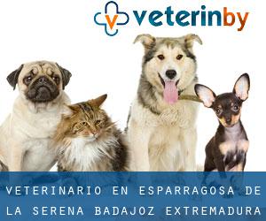 veterinario en Esparragosa de la Serena (Badajoz, Extremadura)