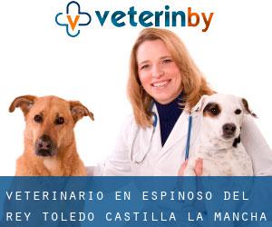 veterinario en Espinoso del Rey (Toledo, Castilla-La Mancha)
