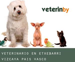 veterinario en Etxebarri (Vizcaya, País Vasco)