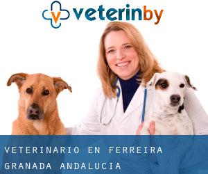 veterinario en Ferreira (Granada, Andalucía)