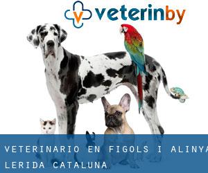 veterinario en Fígols i Alinyà (Lérida, Cataluña)