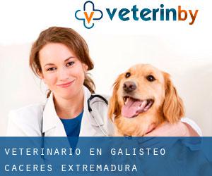 veterinario en Galisteo (Cáceres, Extremadura)