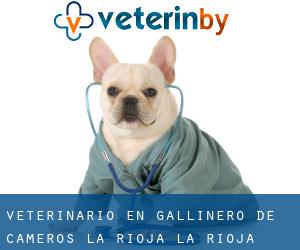 veterinario en Gallinero de Cameros (La Rioja, La Rioja)