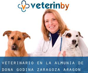 veterinario en La Almunia de Doña Godina (Zaragoza, Aragón)