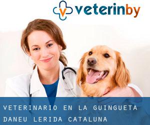 veterinario en la Guingueta d'Àneu (Lérida, Cataluña)