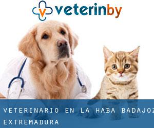veterinario en La Haba (Badajoz, Extremadura)