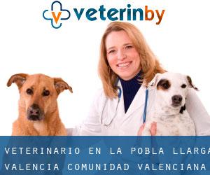 veterinario en La Pobla Llarga (Valencia, Comunidad Valenciana)