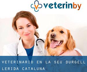 veterinario en la Seu d'Urgell (Lérida, Cataluña) veterinario en la Seu d'Urgell (Lérida, Cataluña)