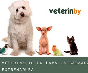 veterinario en Lapa (La) (Badajoz, Extremadura)