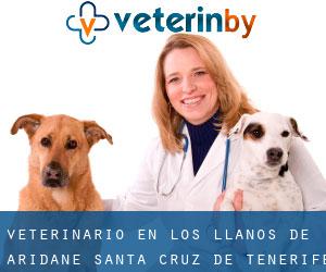 veterinario en Los Llanos de Aridane (Santa Cruz de Tenerife, Islas Canarias)