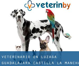 veterinario en Luzaga (Guadalajara, Castilla-La Mancha)
