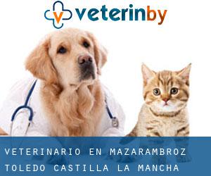 veterinario en Mazarambroz (Toledo, Castilla-La Mancha)