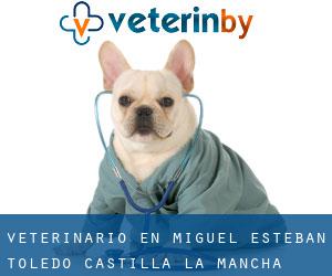 veterinario en Miguel Esteban (Toledo, Castilla-La Mancha)