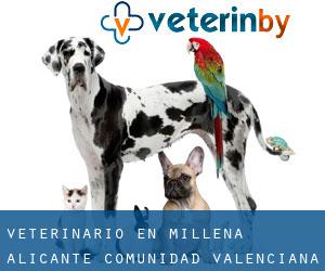 veterinario en Millena (Alicante, Comunidad Valenciana)
