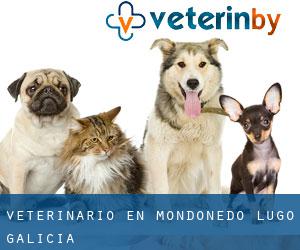 veterinario en Mondoñedo (Lugo, Galicia)
