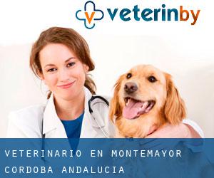 veterinario en Montemayor (Córdoba, Andalucía)