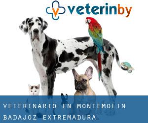 veterinario en Montemolín (Badajoz, Extremadura)