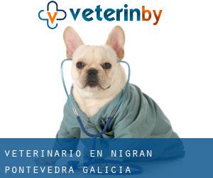 veterinario en Nigrán (Pontevedra, Galicia)