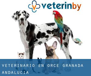 veterinario en Orce (Granada, Andalucía)