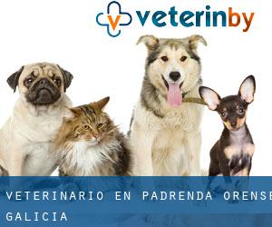 veterinario en Padrenda (Orense, Galicia)