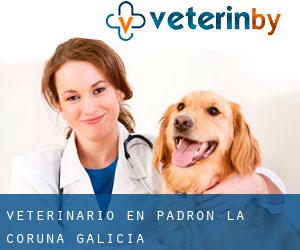 veterinario en Padrón (La Coruña, Galicia)