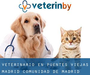 veterinario en Puentes Viejas (Madrid, Comunidad de Madrid)