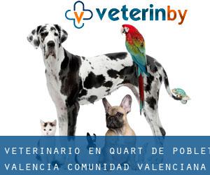 veterinario en Quart de Poblet (Valencia, Comunidad Valenciana)