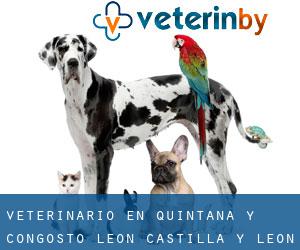 veterinario en Quintana y Congosto (León, Castilla y León)