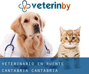 veterinario en Ruente (Cantabria, Cantabria)
