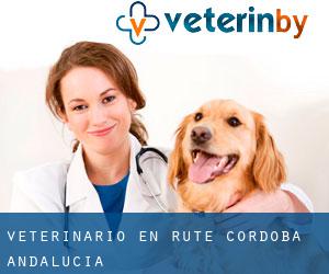 veterinario en Rute (Córdoba, Andalucía)