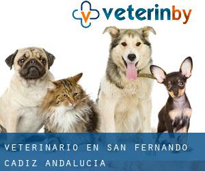 veterinario en San Fernando (Cádiz, Andalucía)