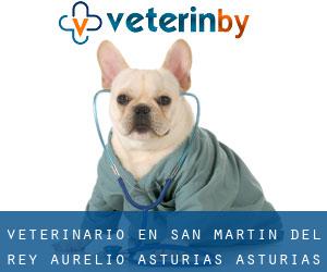 veterinario en San Martín del Rey Aurelio (Asturias, Asturias)