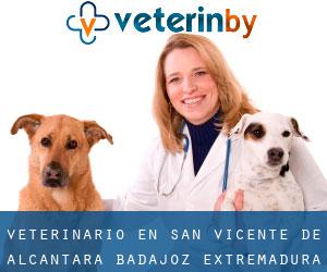 veterinario en San Vicente de Alcántara (Badajoz, Extremadura)