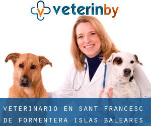 veterinario en Sant Francesc de Formentera (Islas Baleares, Islas Baleares)