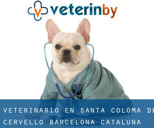veterinario en Santa Coloma de Cervelló (Barcelona, Cataluña)
