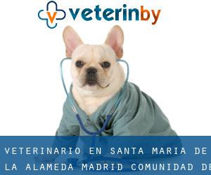 veterinario en Santa María de la Alameda (Madrid, Comunidad de Madrid)