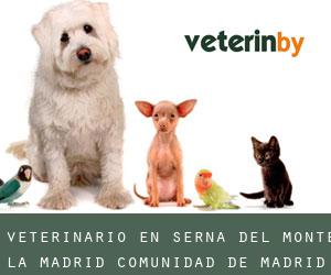 veterinario en Serna del Monte (La) (Madrid, Comunidad de Madrid)