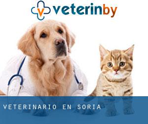 veterinario en Soria