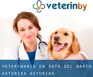 veterinario en Soto del Barco (Asturias, Asturias)