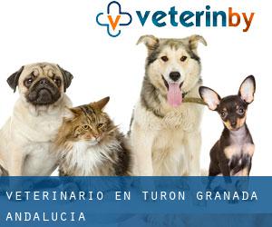 veterinario en Turón (Granada, Andalucía) veterinario en Turón (Granada, Andalucía)