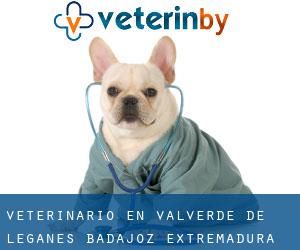 veterinario en Valverde de Leganés (Badajoz, Extremadura)